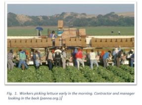 Imperial Valley Farmworkers: A Story of Hard Work and Hardship – by Axel Sandoval – Community Profile Research Paper – English 110