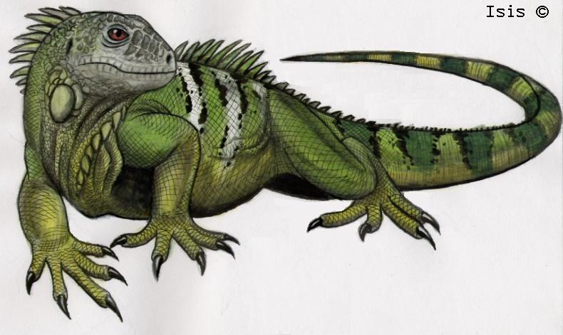 Jay’s NIGHT OF THE IGUANA Post – Tennessee Williams – Despair on the Beach